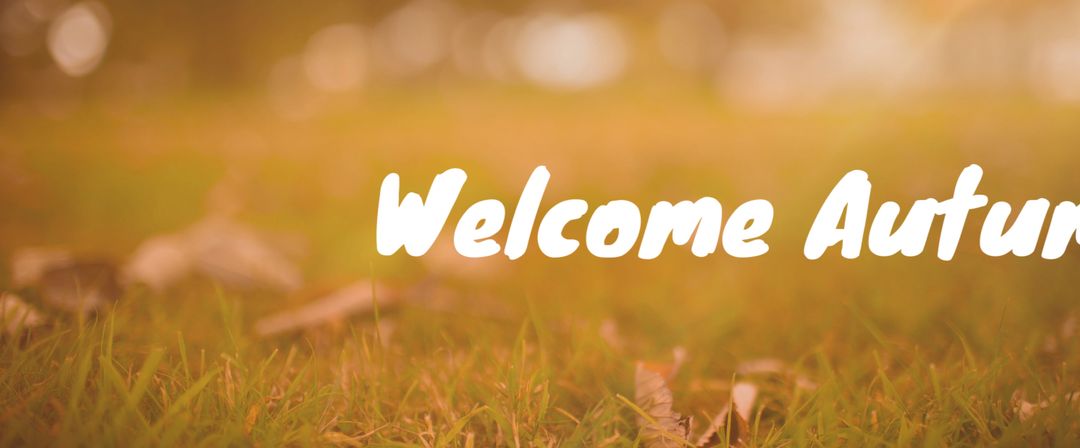 Warm Autumn Ambiance with Fallen Leaves