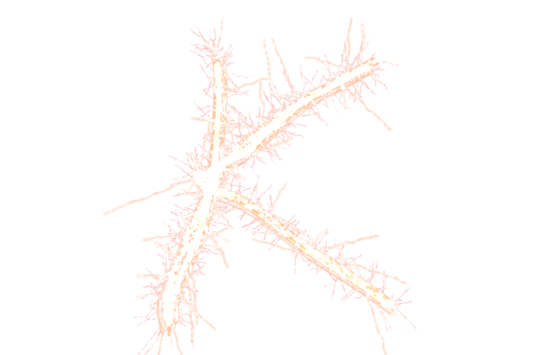 Transparent Glittering Letter 'K' Illustration with Sparkling Design