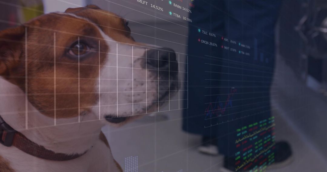 Curious Terrier Dog in Office Analyzing Financial Charts on Monitor