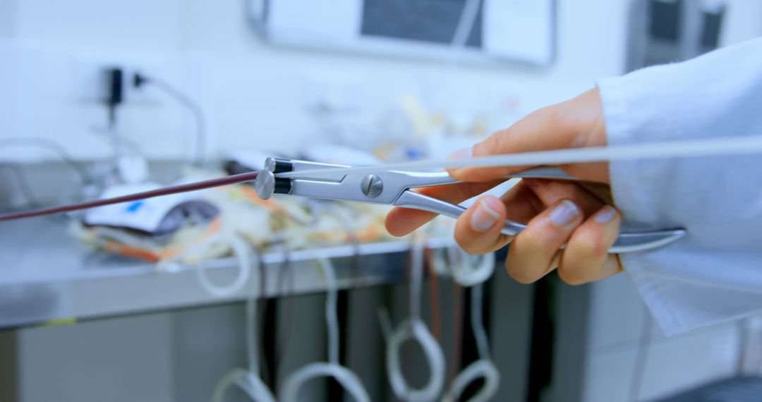 Surgeon Using Clamps in Medical Procedure with Precision - Free Images, Stock Photos and Pictures on Pikwizard.com