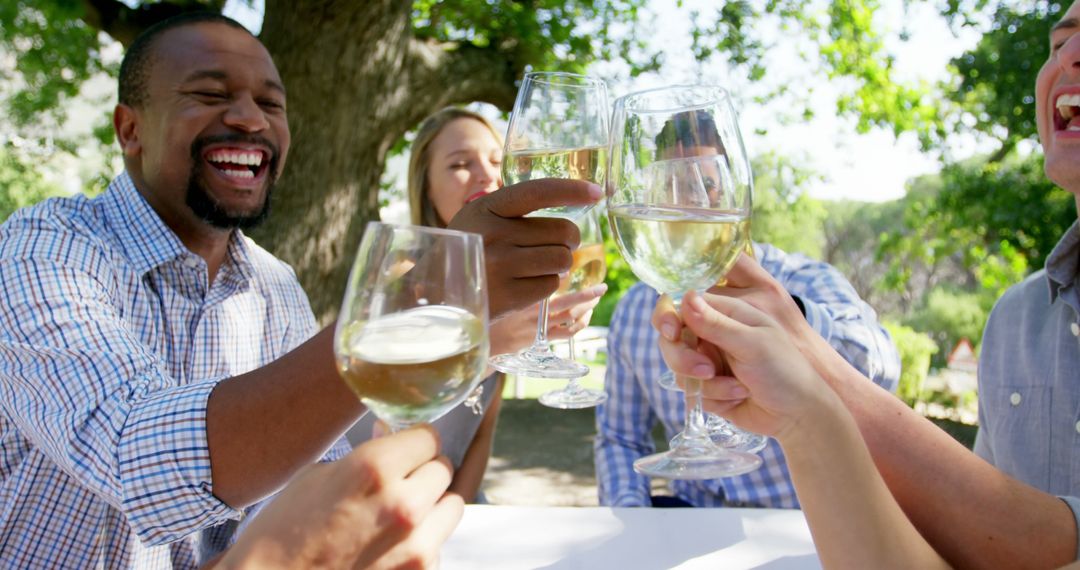 Diverse Friends Toasting with White Wine at Outdoor Gathering - Free Images, Stock Photos and Pictures on Pikwizard.com