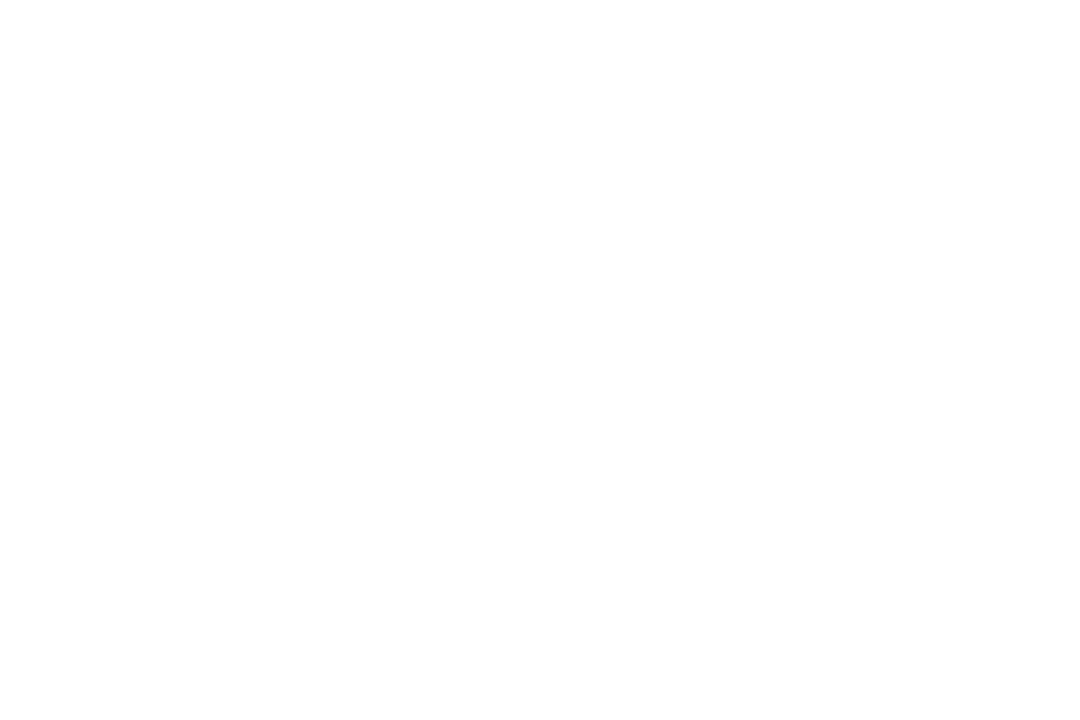 Start Something New Inspirational Text on Transparent Background