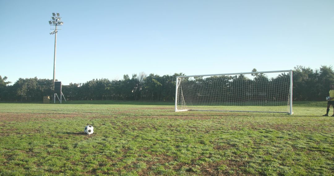 Soccer Scene with Goalkeeper near Goalpost and Ball on Field