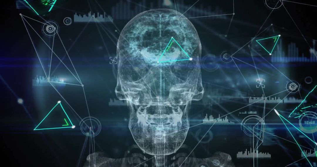 Digital Skull with High-Tech Data Network Overlay