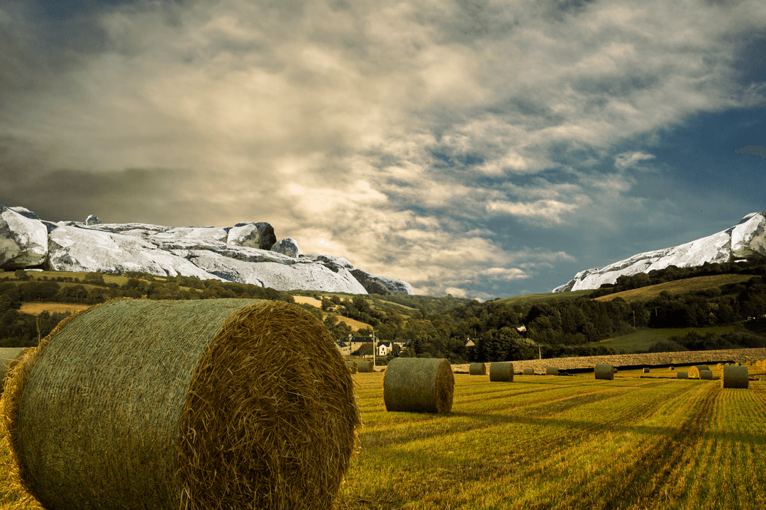 Transparent Contemporary Countryside Scene on Field