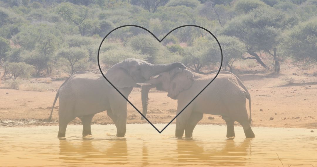 Heart-Shaped Overlay on Elephants in African Savanna