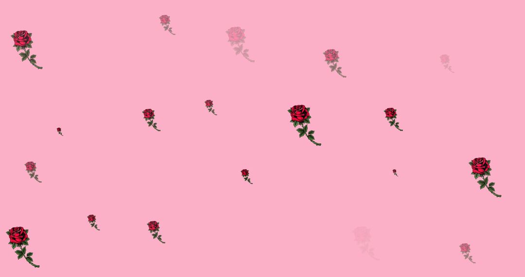 Roses Scattered on Pink Background for Floral Visuals