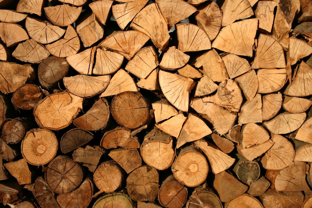 Stacked Firewood Logs Showing Natural Wooden Texture - Free Images, Stock Photos and Pictures on Pikwizard.com