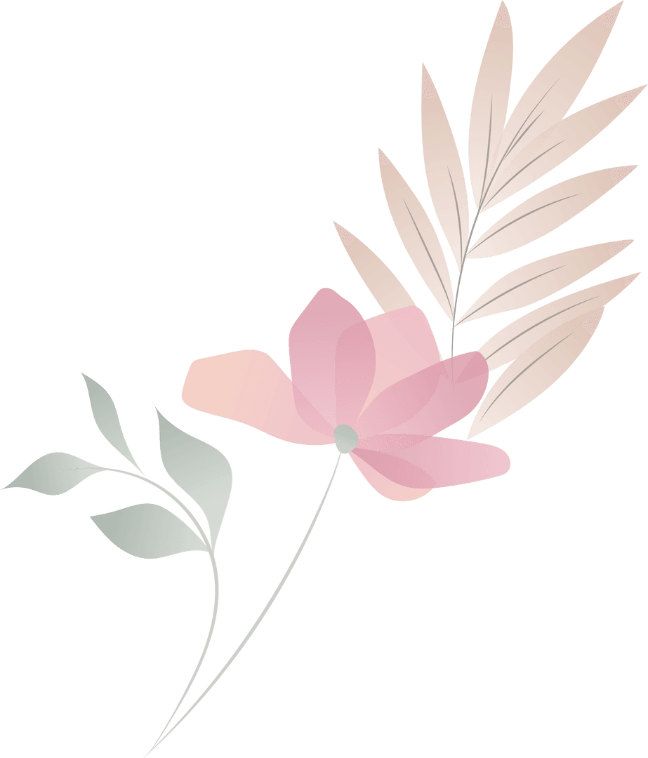 Botanical Minimalism: Pink Bloom with Transparent Background