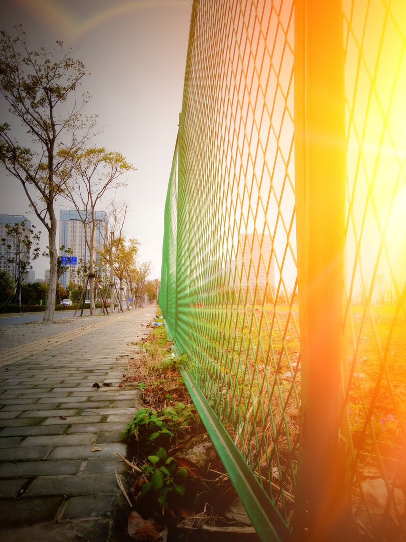 Urban Park Sunrise Reflection Through Green Chain-link Fence - Free Images, Stock Photos and Pictures on Pikwizard.com