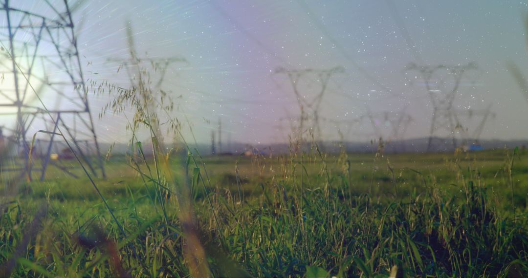 Contrasting Duality of Nature and Technology