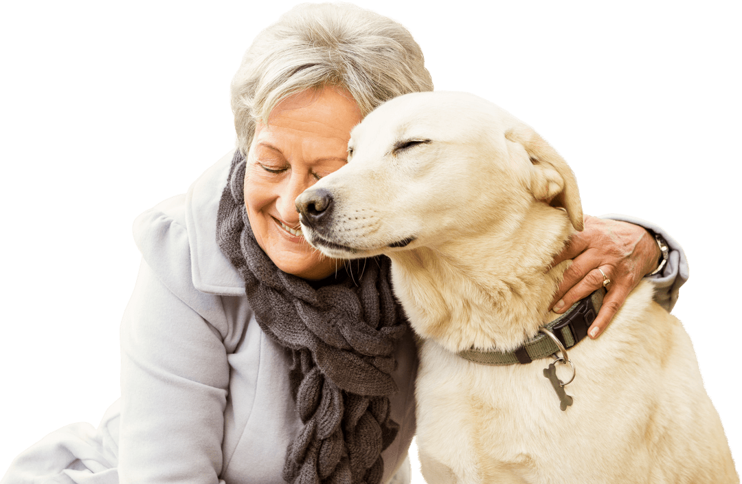 Senior Woman Hugging Labrador on Transparent Background