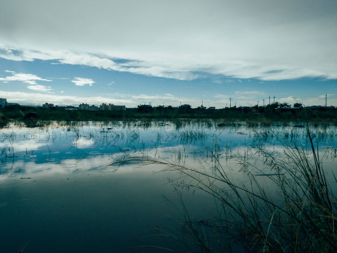 Serene Wetlands with Reflection of Sky and Clouds - Free Images, Stock Photos and Pictures on Pikwizard.com