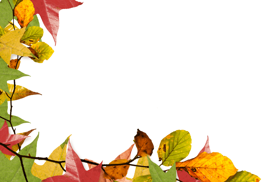 Autumn Leaves Border with Clear Background for Seasonal Designs
