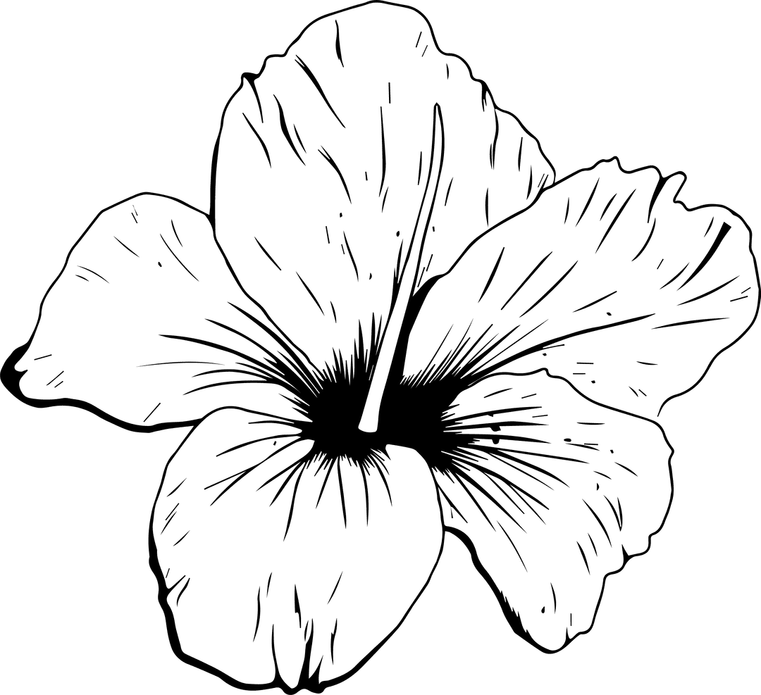 Elegant Floral Line Art on Transparent Canvas