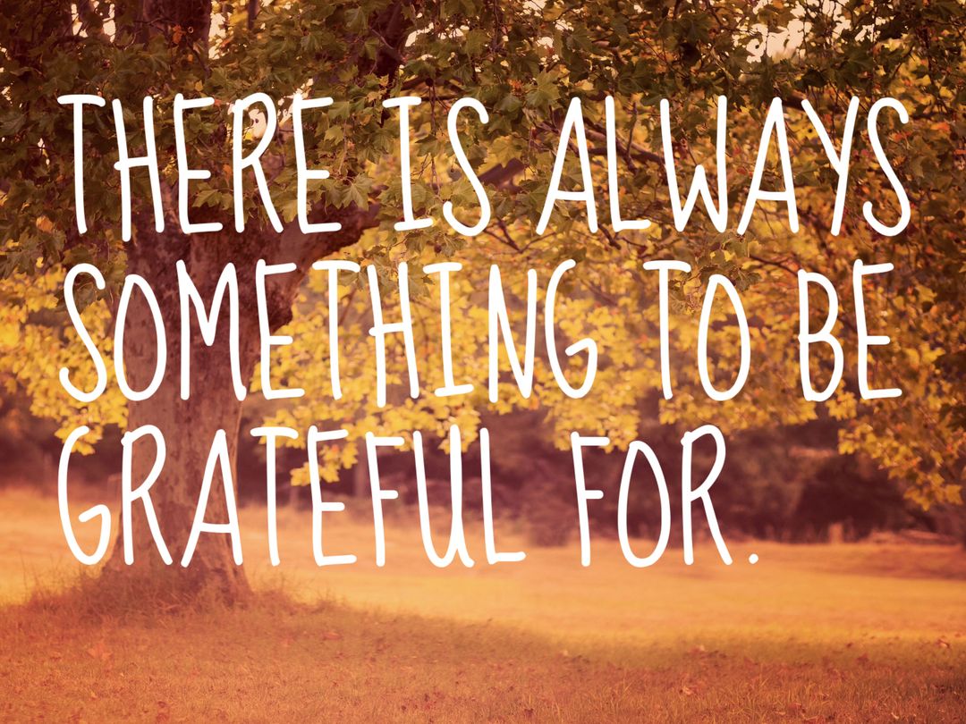 Inspirational Quote on Gratefulness Against Autumn Foliage