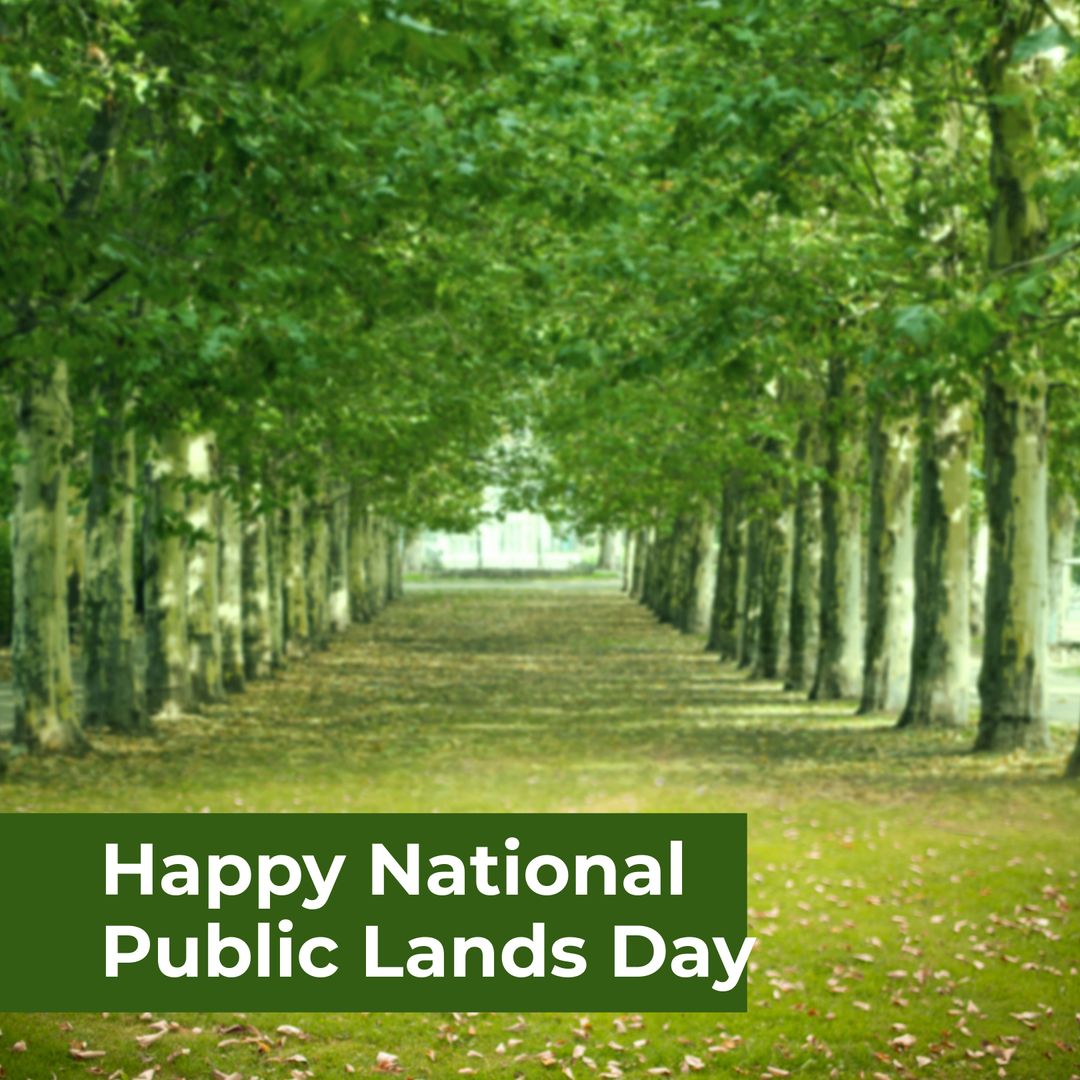 Dense Forest Pathway for National Public Lands Day Celebration