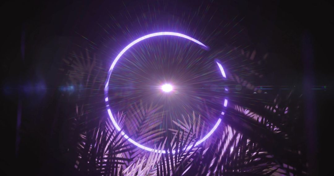 Neon Light Circle with Radiating Energy on Black Background