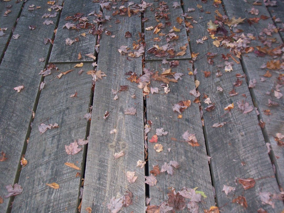 Leaves on Wood Planks - Free Images, Stock Photos and Pictures on Pikwizard.com