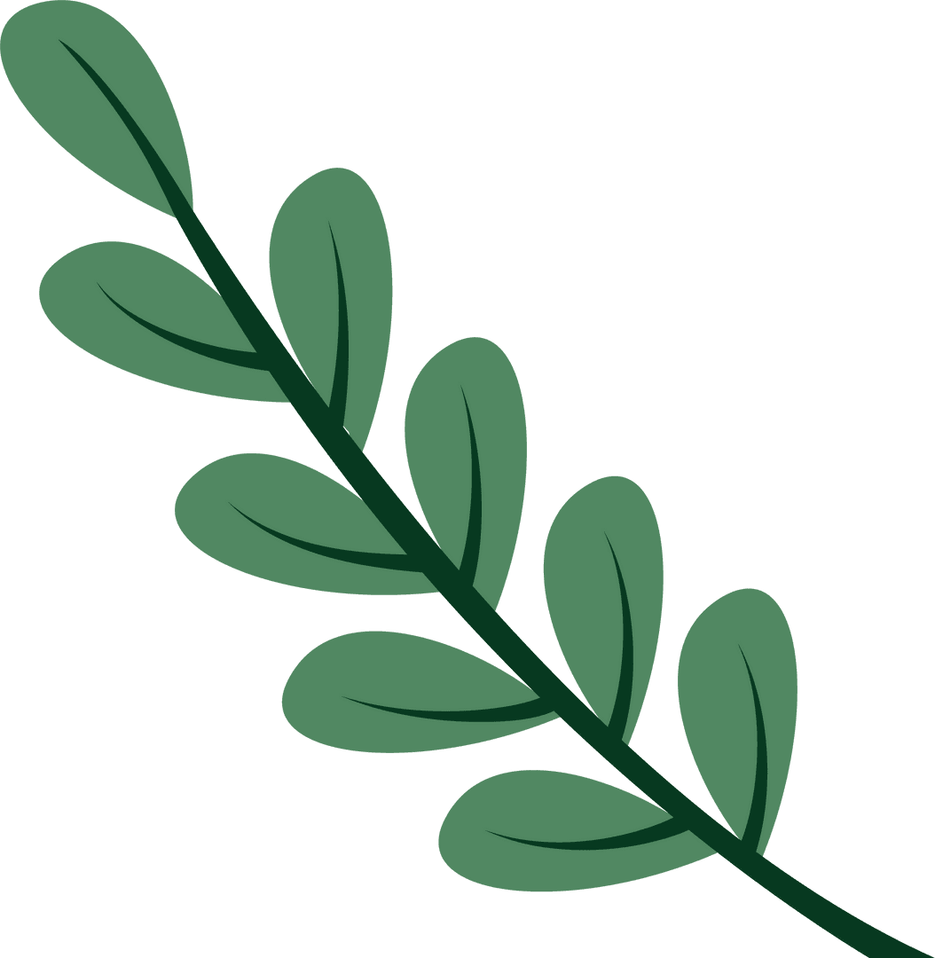 Stylized Flat Leafy Branch on Transparent Background