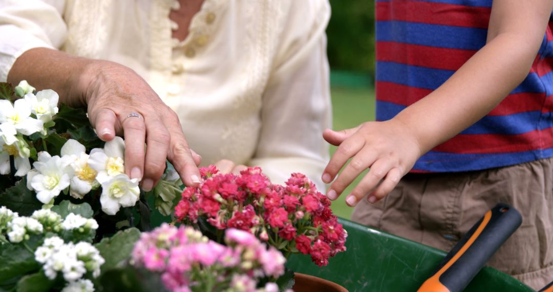 Grandmother and Child Gardening Together with Colorful Blooms - Free Images, Stock Photos and Pictures on Pikwizard.com