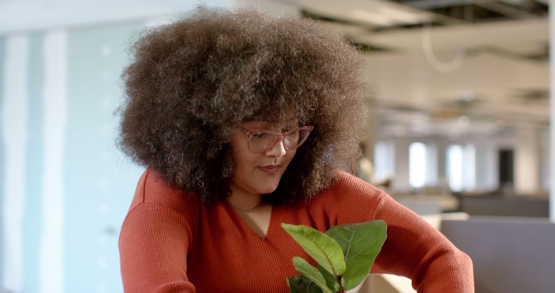 Woman with Curly Hair Planting Seedling in Office - Free Images, Stock Photos and Pictures on Pikwizard.com