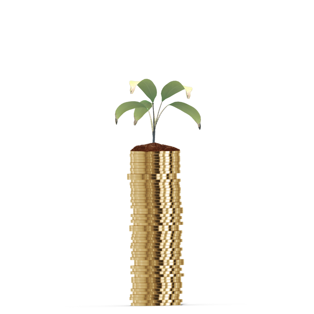 Plant Growing in Soil on Stack of Gold Coins Isolated with Transparent Background - Download Free Stock Images Pikwizard.com