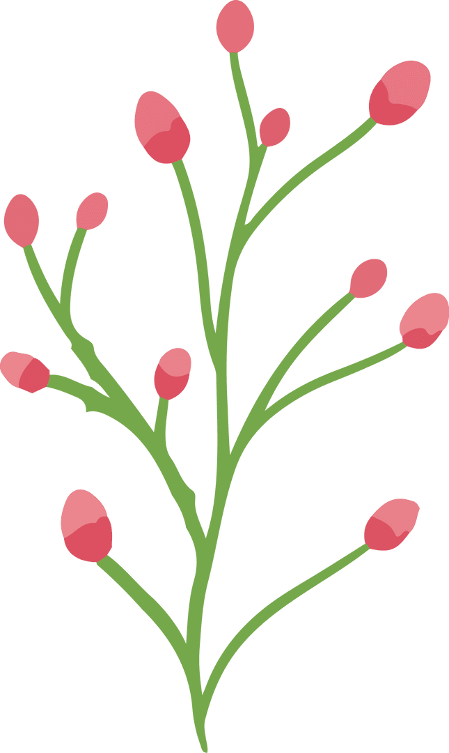 Flat Botanical Branch with Pink Buds on Transparent Background