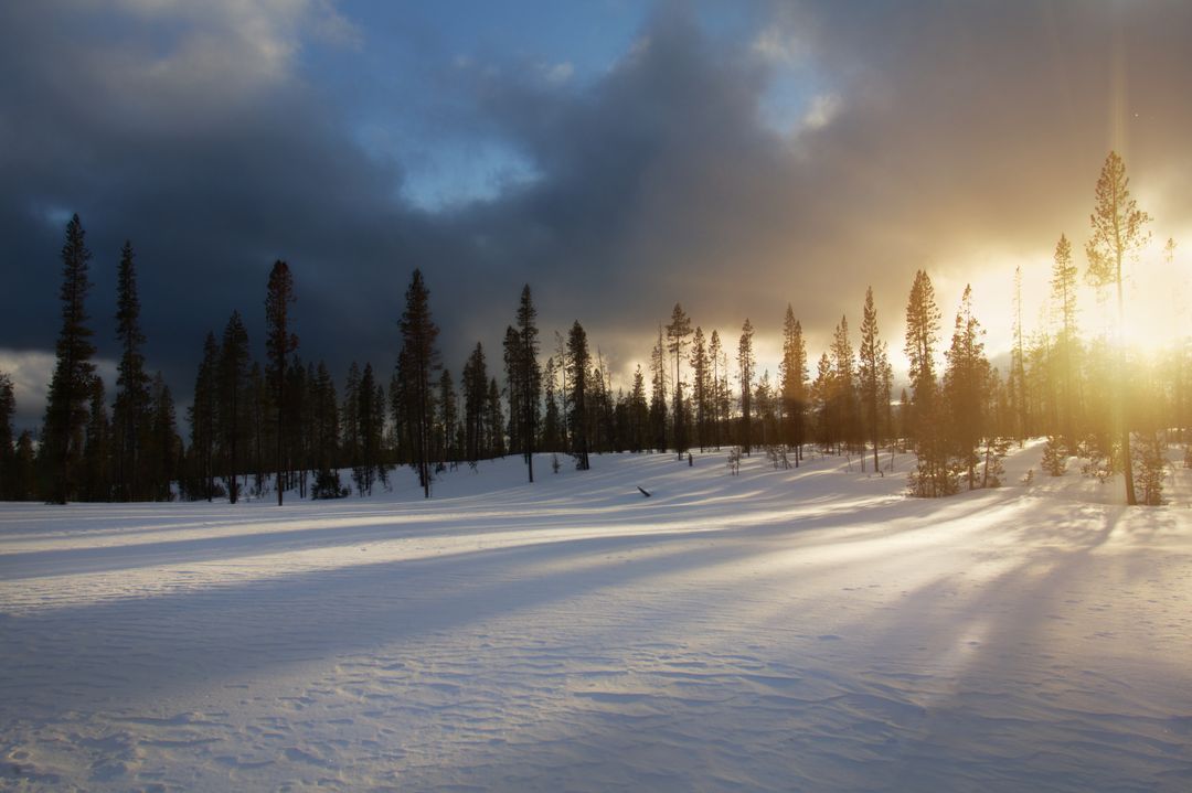 Sunset over Snow-covered Forest with Sunbeam Shadows