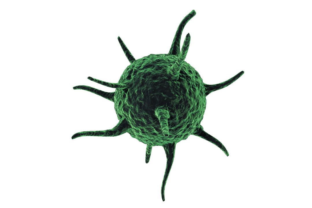 3D Green Bacteria or Virus on Transparent Background - Download Free Stock Images Pikwizard.com