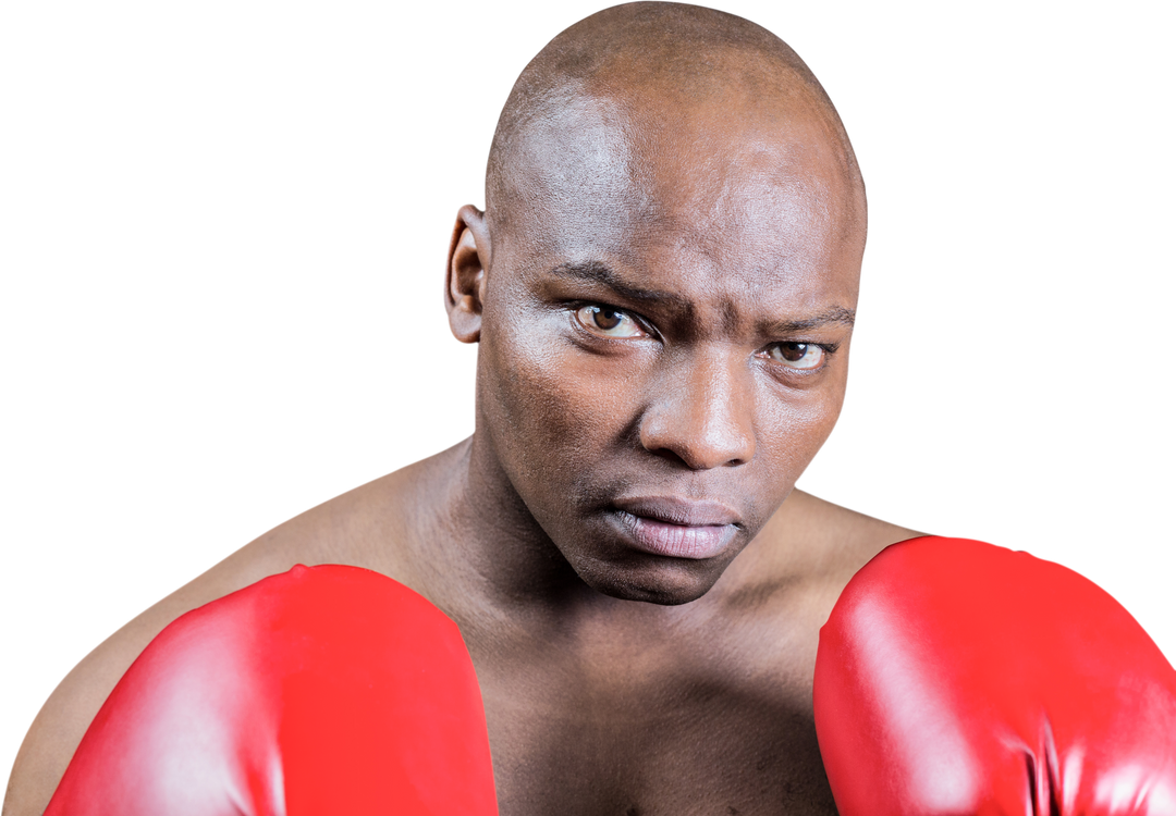 Confident Boxer Wearing Red Gloves on Transparent Background - Download Free Stock Images Pikwizard.com