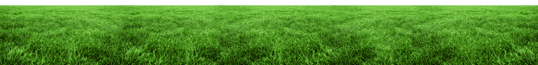 Vibrant Green Grass Field on Transparent Background
