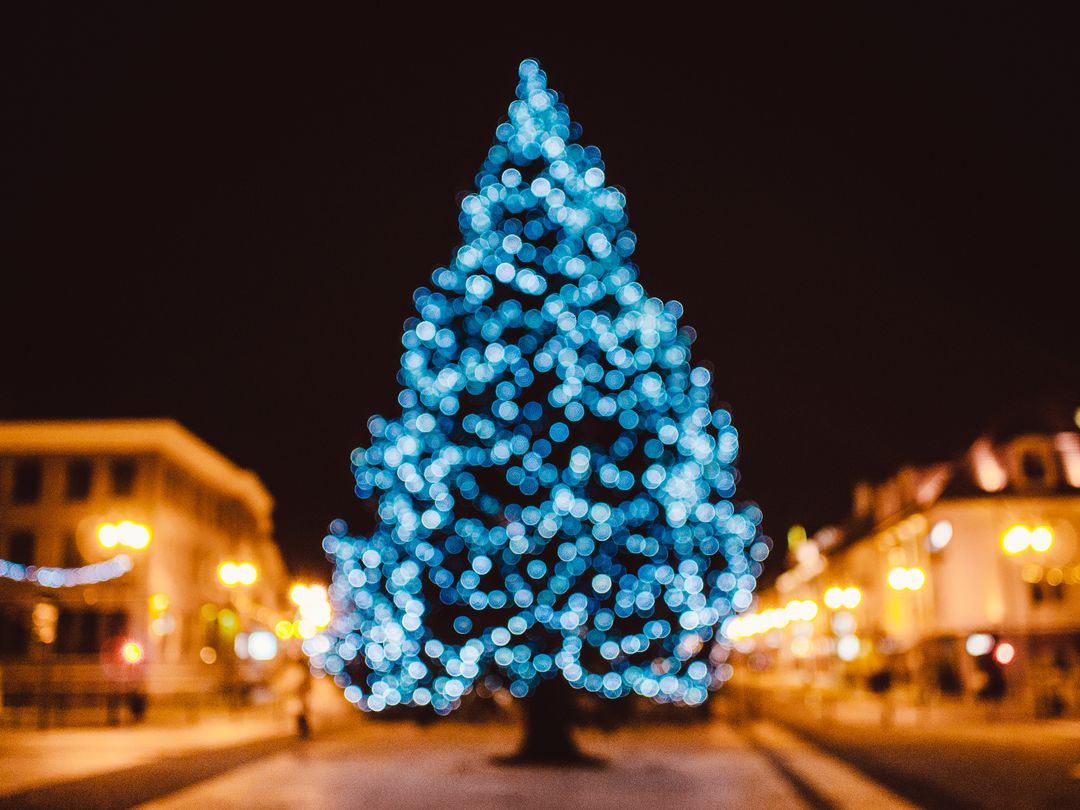 Blurry Illuminated Christmas Tree with Festive Lights