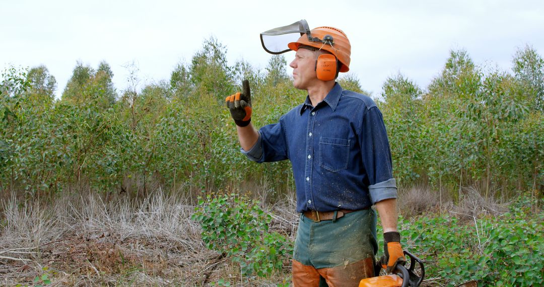 Forestry Worker in Protective Gear with Chainsaw in Forest - Free Images, Stock Photos and Pictures on Pikwizard.com