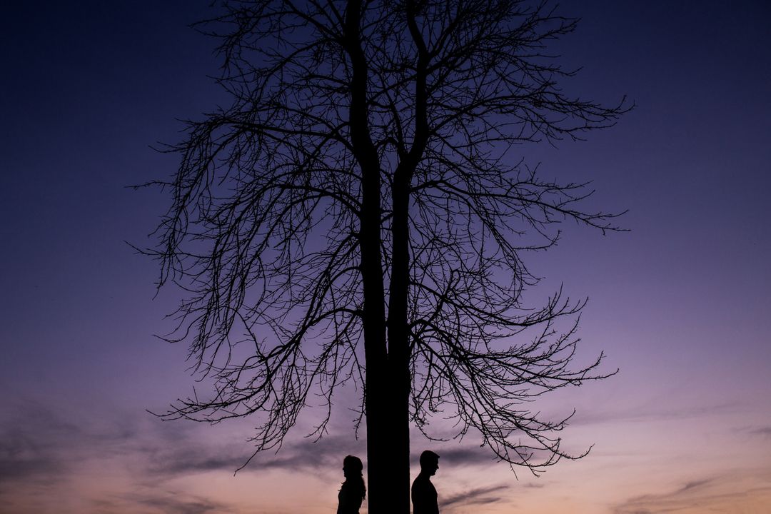 Silhouetted Couple Standing Back to Back Against Bare Tree at Sunset - Free Images, Stock Photos and Pictures on Pikwizard.com
