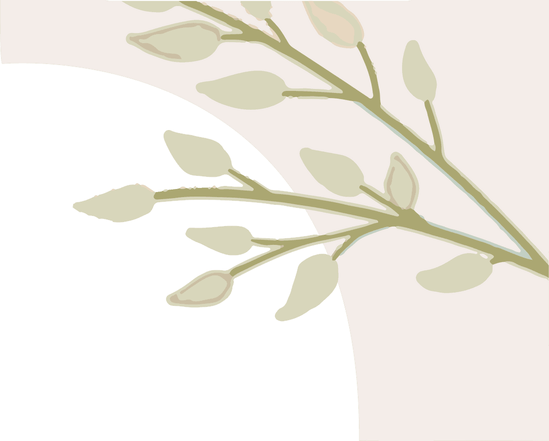 Transparent Botanical Illustration with Teal Semicircle Accent
