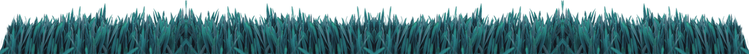 Lush Green Grass Blades with Transparent Background