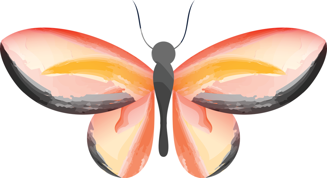 Colorful Butterfly Illustration on Transparent Background Isolated Vector - Download Free Stock Images Pikwizard.com