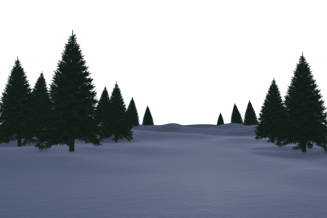 Transparent Snowy Forest Landscape with Pine Trees Winter Scene