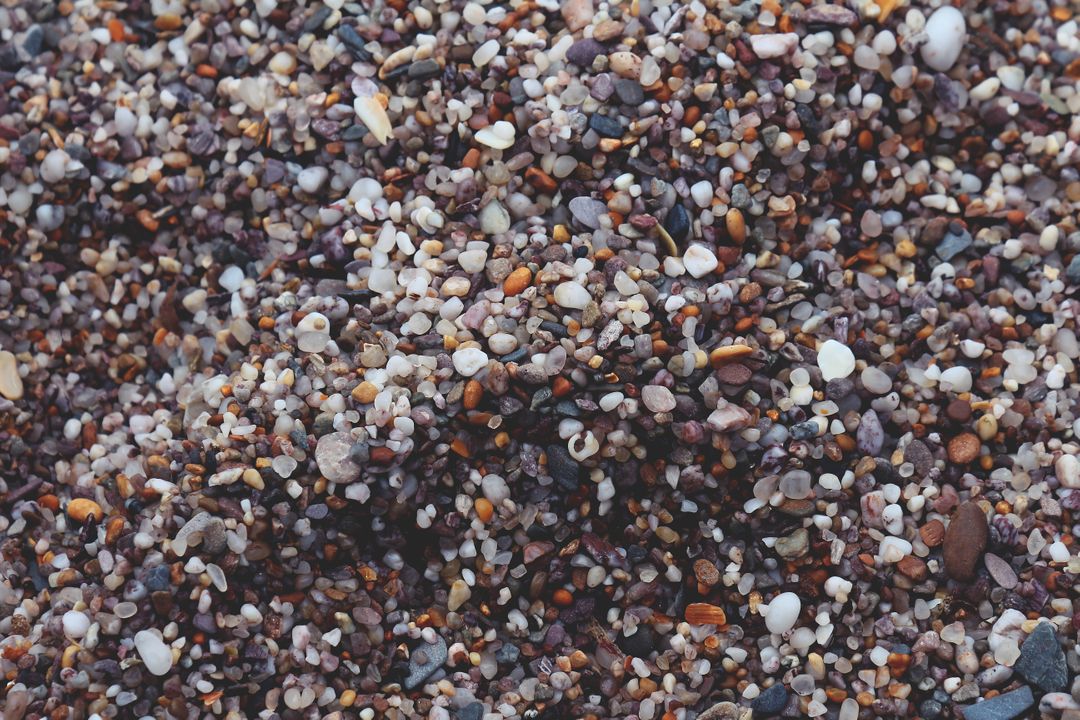 Close-up of Multicolored Pebbles on Beach Gravel - Free Images, Stock Photos and Pictures on Pikwizard.com