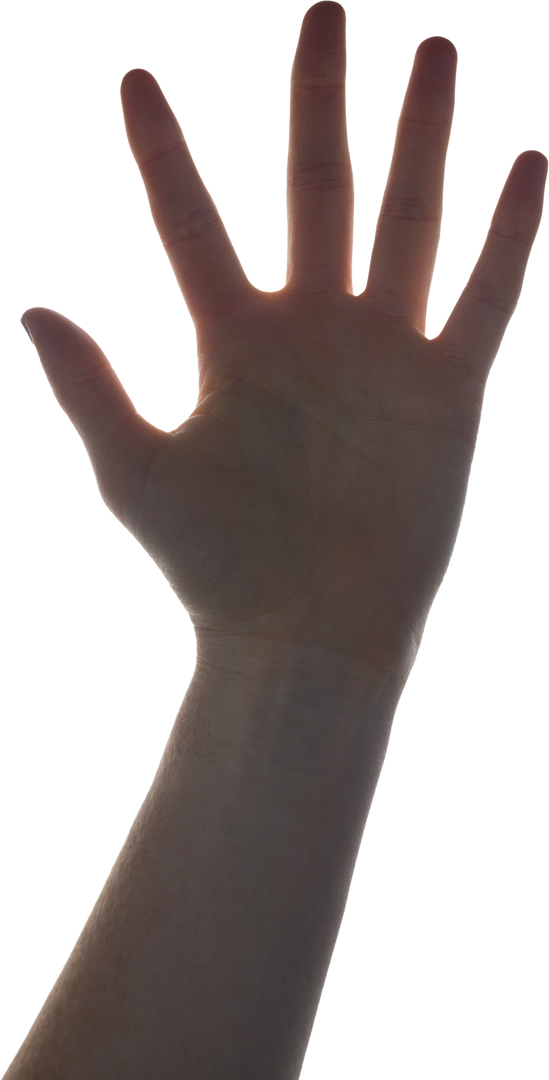 Transparent Hand Showing Stop Gesture with White Background - Download Free Stock Images Pikwizard.com