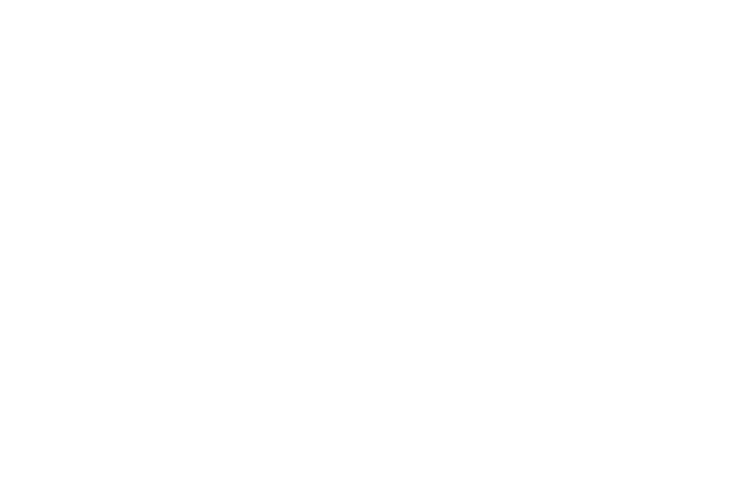 Transparent Silhouette of Boxer with Punching Bag