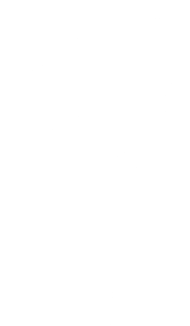 Transparent Hand Raising Flags for Freedom Concepts - Download Free Stock Images Pikwizard.com