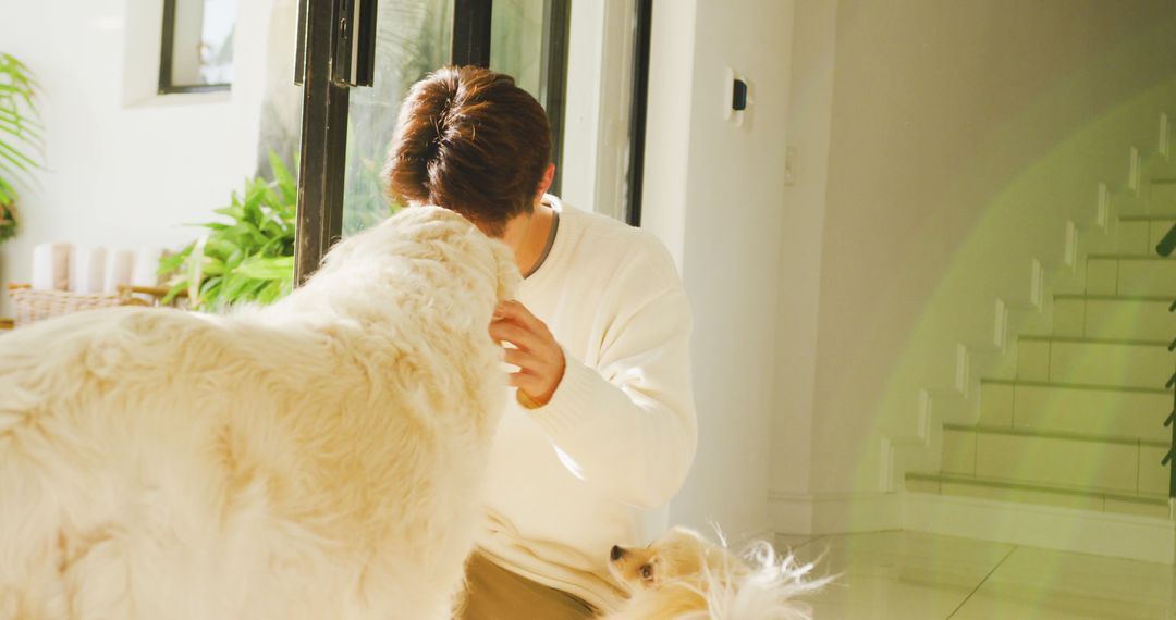 Man Enjoying Morning with Friendly Dogs in Sunlit Living Room - Free Images, Stock Photos and Pictures on Pikwizard.com