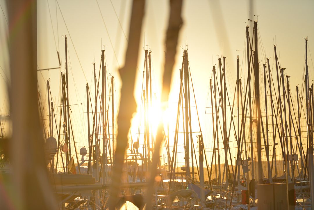 Golden Sunset Over Marina with Sailing Masts Silhouetted - Free Images, Stock Photos and Pictures on Pikwizard.com