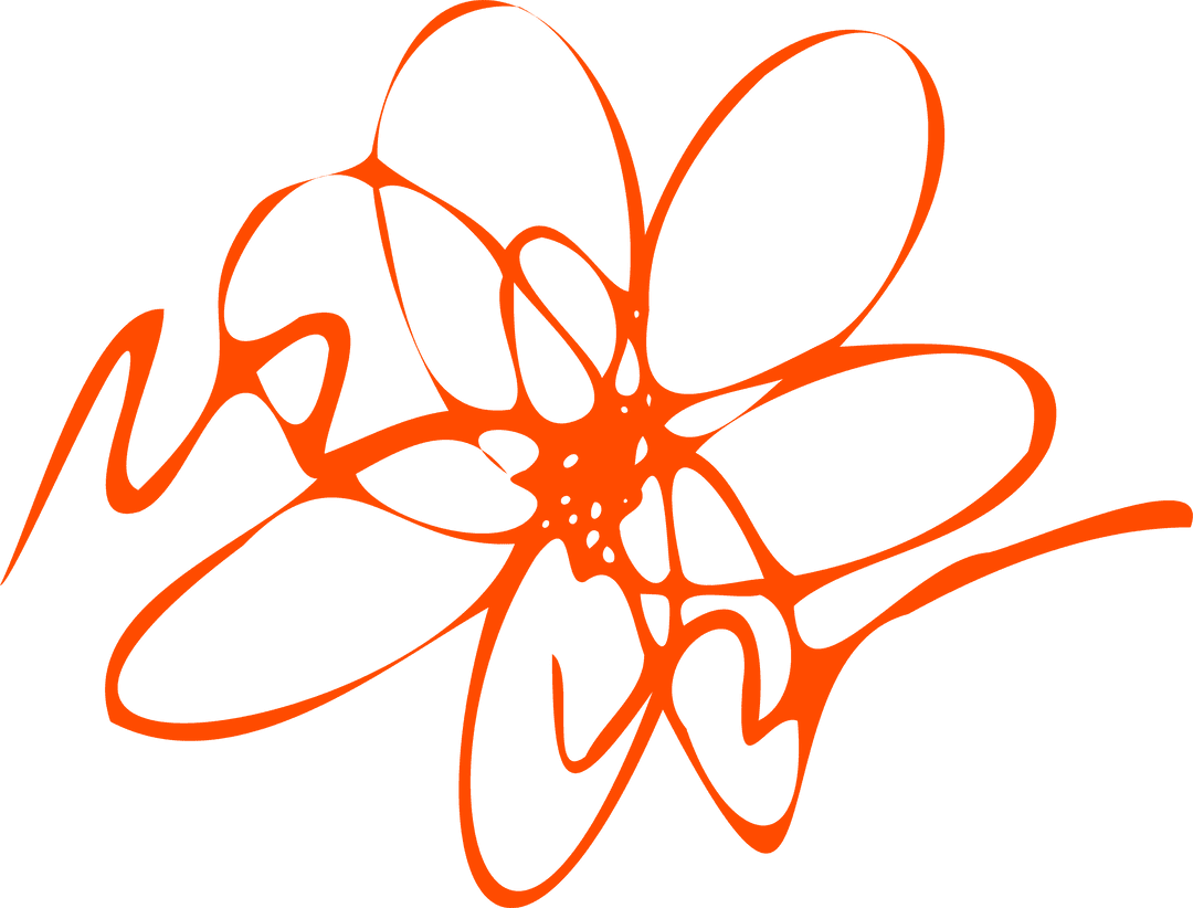 Abstract orange flower line art on transparent background