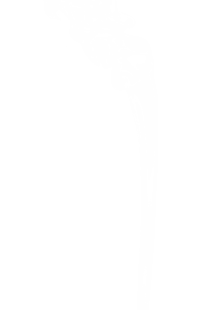 Transparent Abstract White Smoke Swirls on Transparent Background