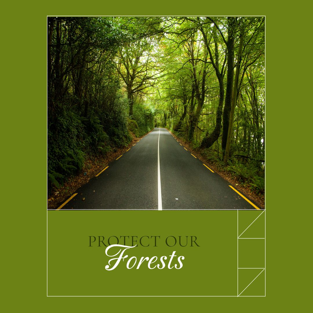 Empty Scenic Road Through Lush Green Forest Encouraging Conservation