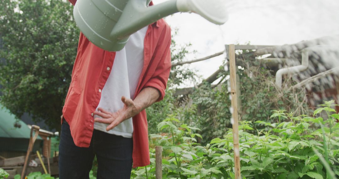 Senior Man Watering Plants in Lush Garden