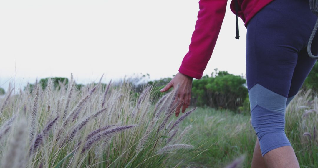 Person Touching Tall Grass While Hiking Outdoors - Free Images, Stock Photos and Pictures on Pikwizard.com